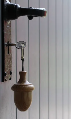 Acorn Keyring><noscript><img width=