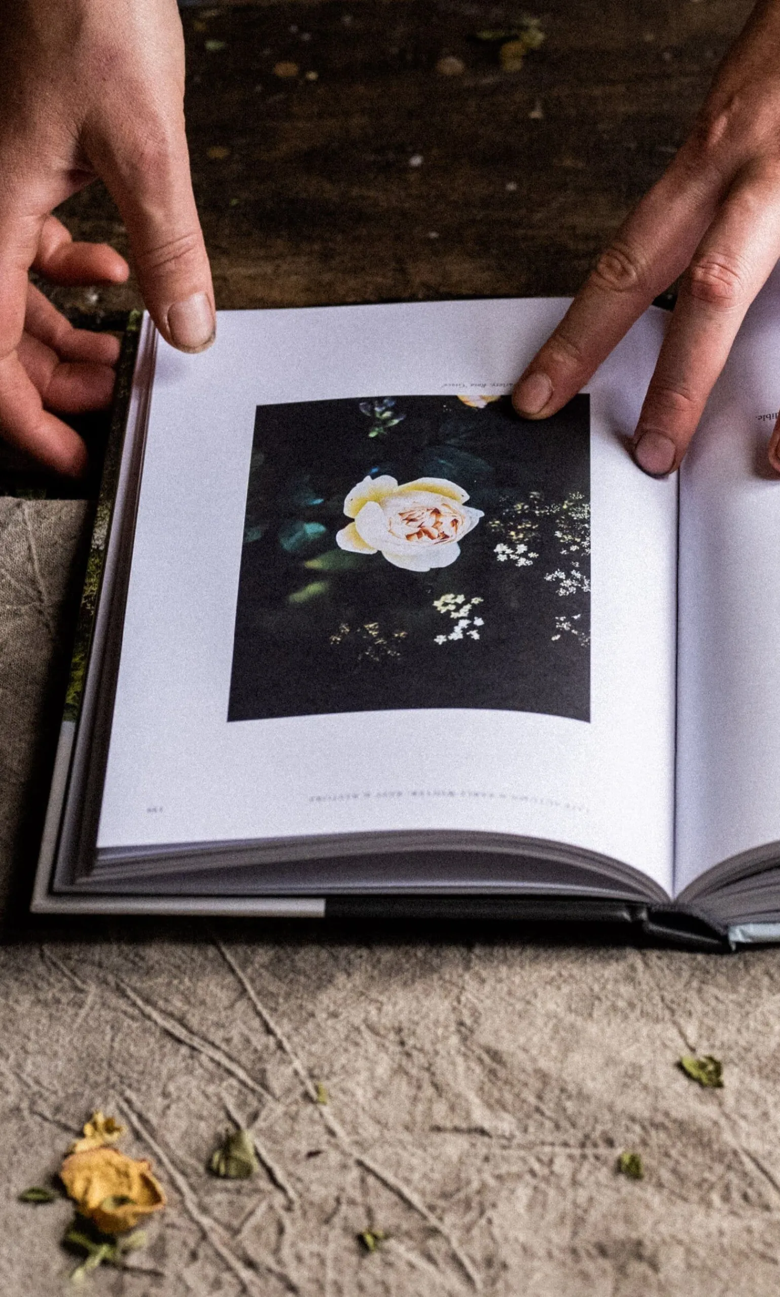 Grow & Gather By Grace Alexander>Plümo Hot