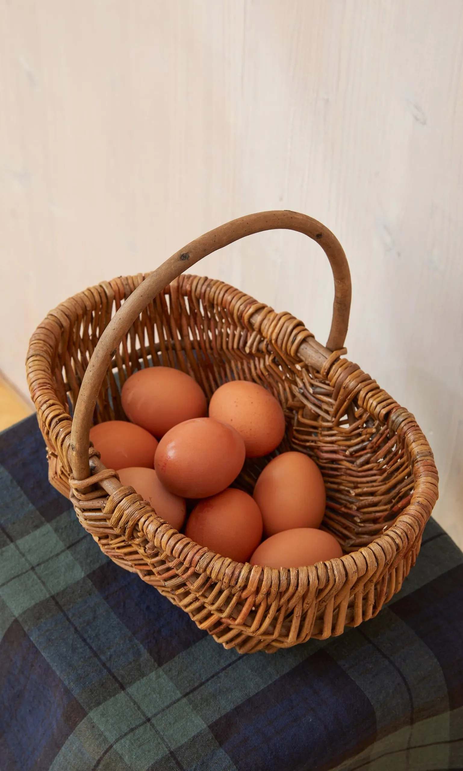 Mushroom Basket>Plümo Online