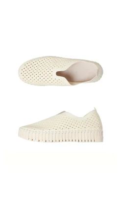Polly Shoes><noscript><img width=