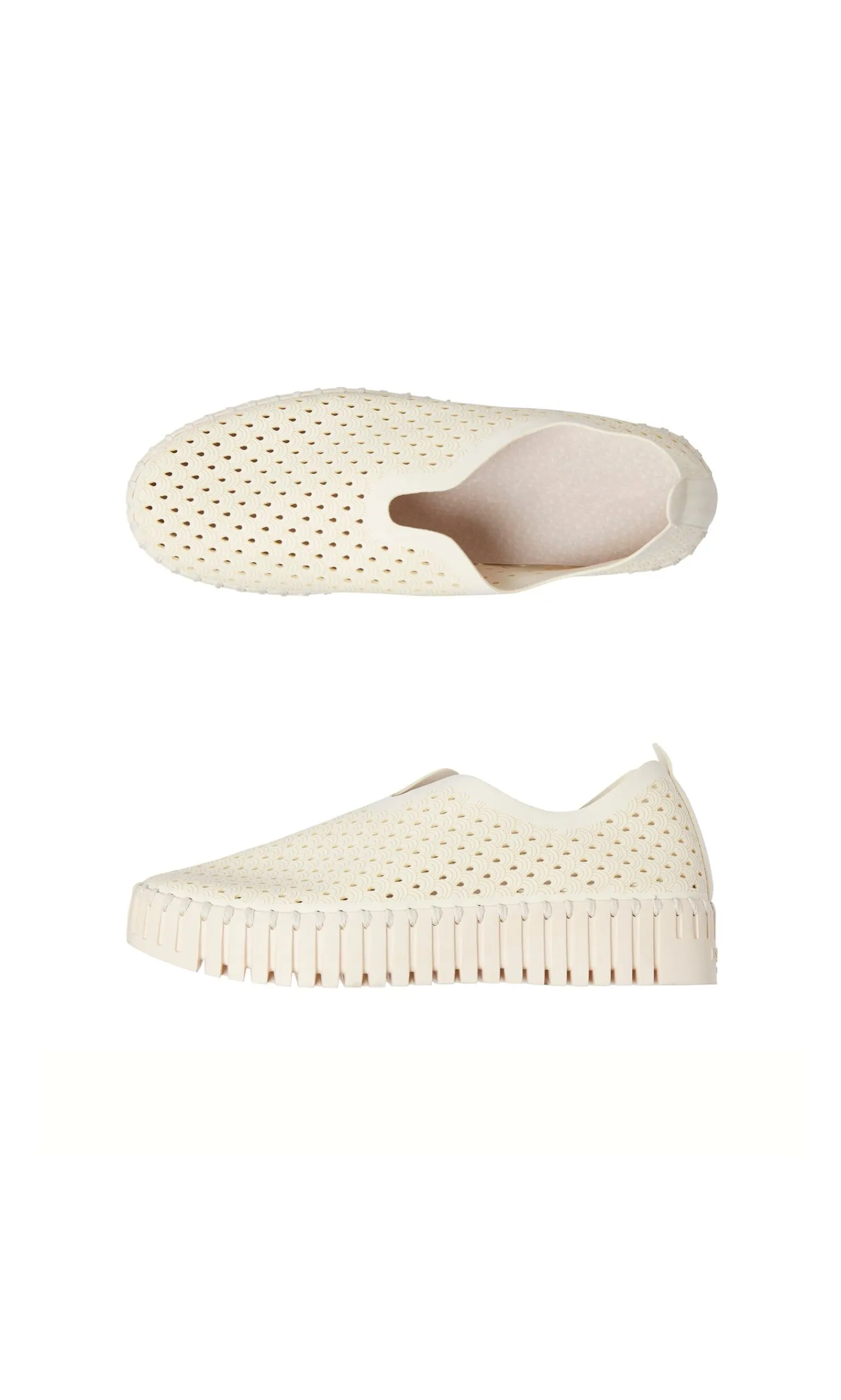 Polly Shoes>Plümo Discount