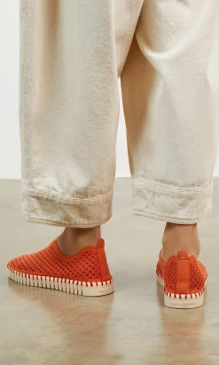 Tulip Shoes><noscript><img width=